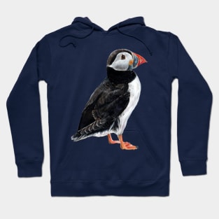 Puffin on a blue background Hoodie